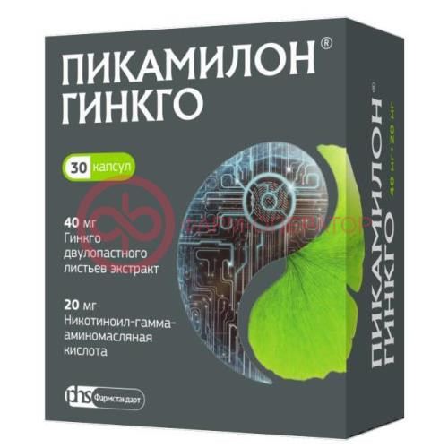 Пикамилон гинкго капсулы 40мг + 20мг №30 Пикамилон гинкго капсулы 40мг + 20мг №30