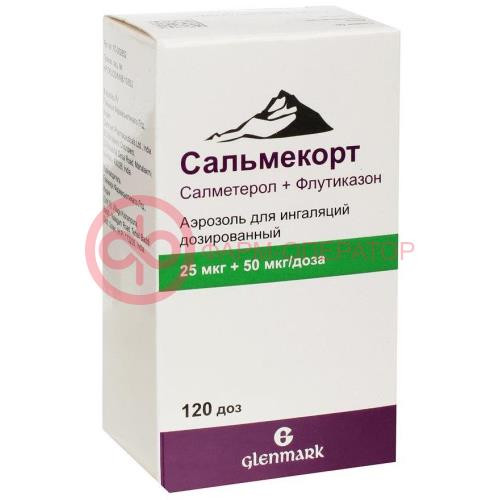 Сальмекорт аэрозоль для ингаляций дозированный 25мкг + 50мкг/доза 120доз