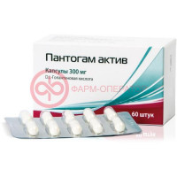 Пантогам актив капсулы 300мг №60