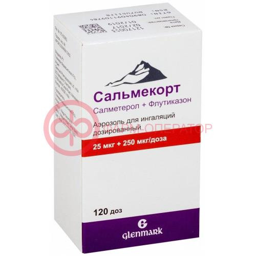 Сальмекорт аэрозоль для ингаляций дозированный 25мкг + 250мкг/доза 120доз Сальмекорт аэрозоль для ингаляций дозированный 25мкг + 250мкг/доза 120доз