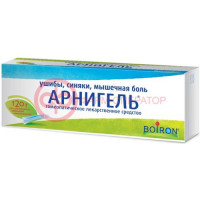 Арнигель гель для наружного применения гомеопатический 120г