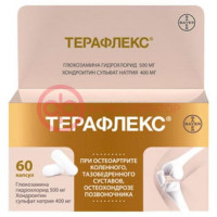 Терафлекс капсулы 500мг + 400мг №60