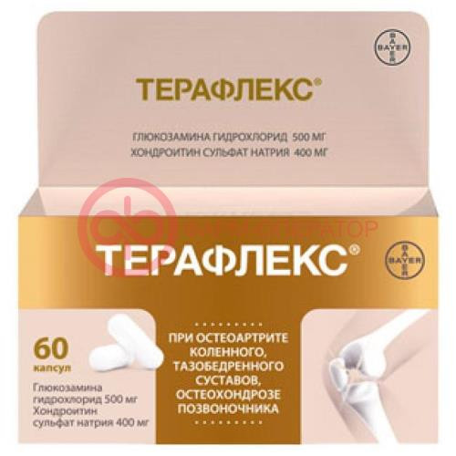 Терафлекс капсулы 500мг + 400мг №60 Терафлекс капсулы 500мг + 400мг №60