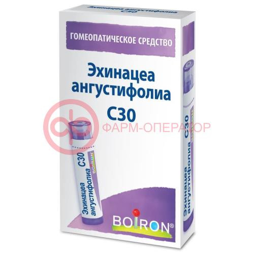 Эхинацеа ангустифолиа с30 гранулы гомеопатические 4г монокомп препар растит происх Эхинацеа ангустифолиа с30 гранулы гомеопатические 4г монокомп препар растит происх