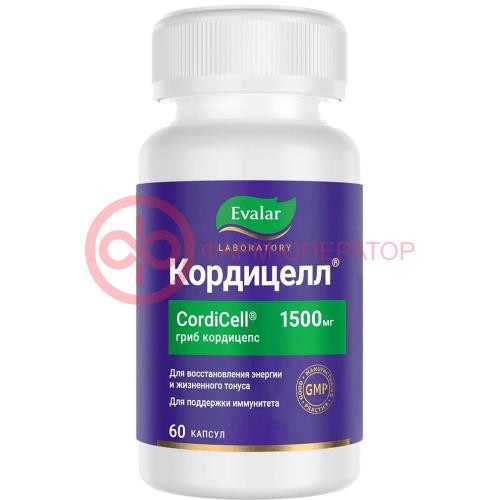 Эвалар кордицелл капсулы №60 Эвалар кордицелл капсулы №60