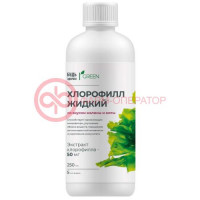 Будь здоров! грин хлорофилл форте жидкость для внутреннего применения 250мл малина + мята